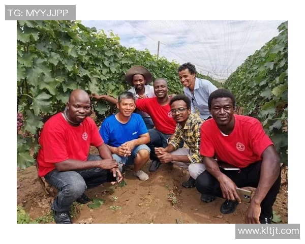 西布鲁克的篮球传奇与未来发展探索之路